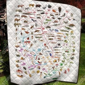 Evolutionary Quilt Cunvi
