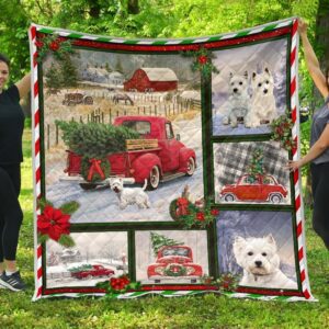 Front Quilt Ciivn