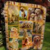 Golden Quilt Ciwfo