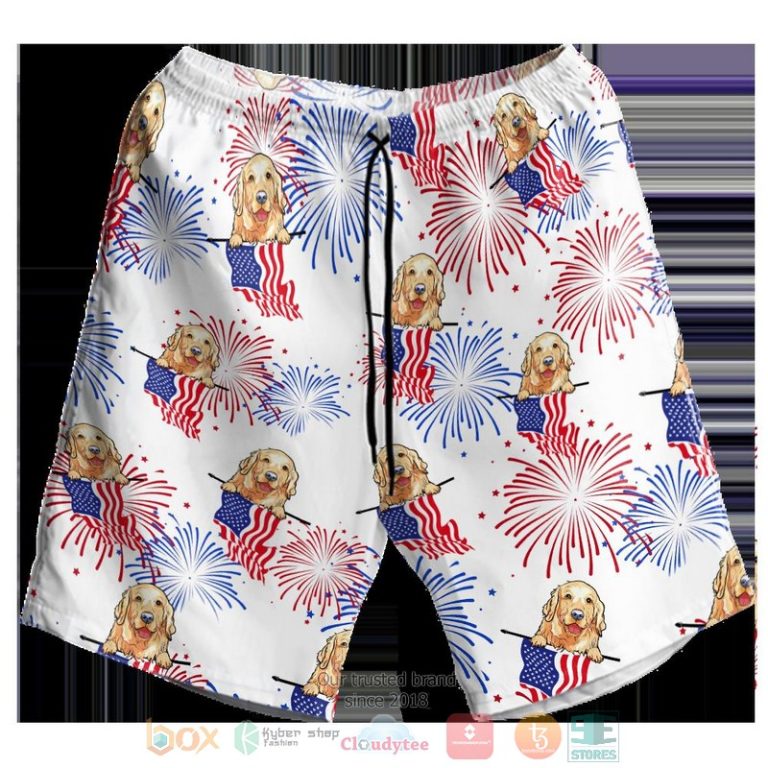 Golden_Independence_Day_Is_Coming_pattern_Hawaiian_Shirt_Shorts_1_2-768x768-1