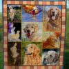 Goldenretrieverdog Quilt Tujkq