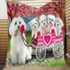 Malteses Quilt Cikus