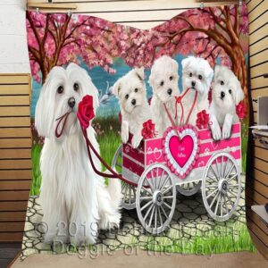 Malteses Quilt Cikus