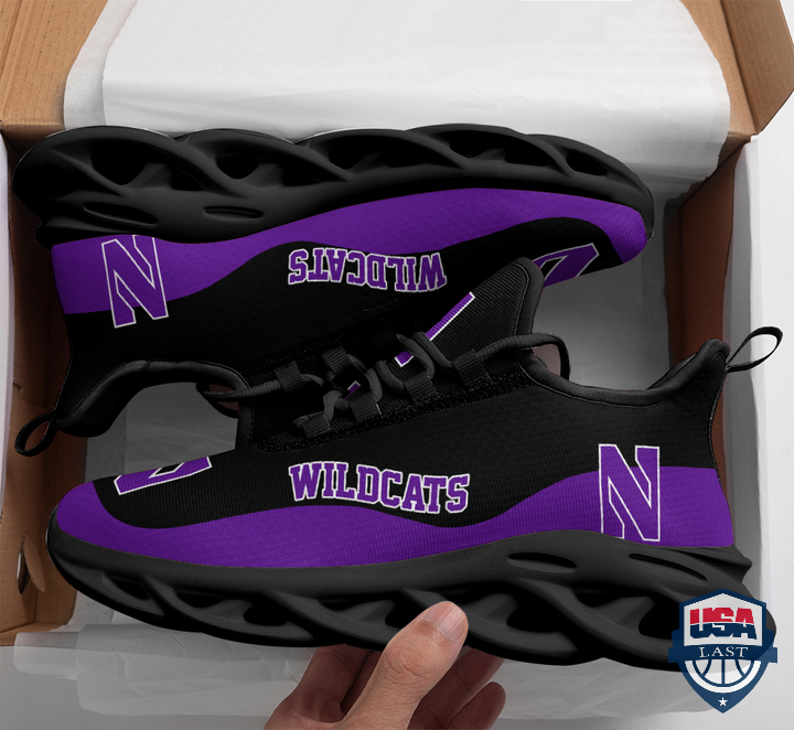 Northwestern-Wildcats-Ncaa-Max-Soul-Shoes-1