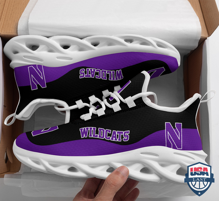 Northwestern-Wildcats-Ncaa-Max-Soul-Shoes-3