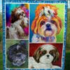 Shih Quilt Tujjm