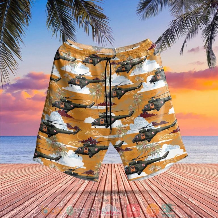 Shorts Shorts