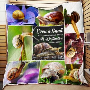 Snail Quilt